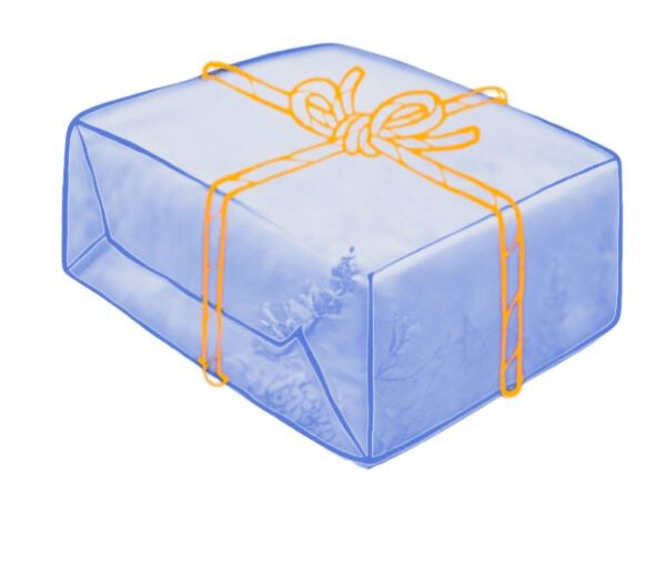 <h4><strong>Delivered with Care</strong></h4>